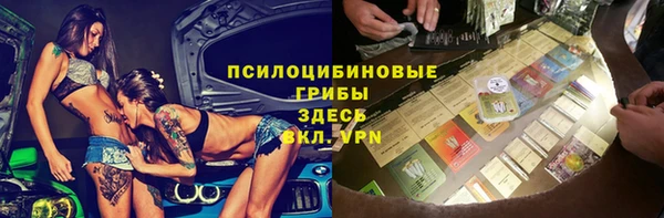 spice Вяземский
